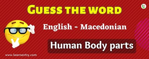 Guess the Human Body parts in Macedonian