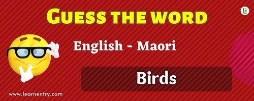 Guess the Birds in Maori