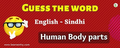 Guess the Human Body parts in Sindhi