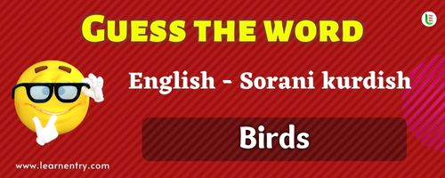Guess the Birds in Sorani kurdish