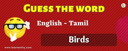 Guess the Birds in Tamil