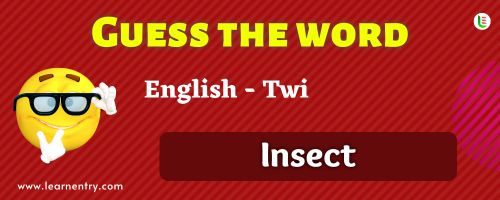 Guess the Insect in Twi