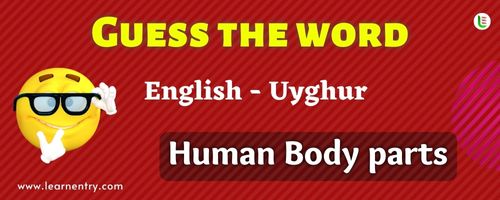 Guess the Human Body parts in Uyghur