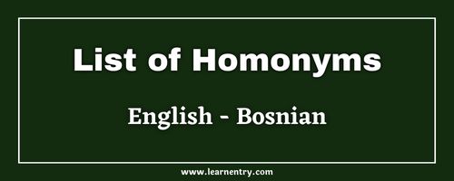 List of Homonyms in Bosnian and English