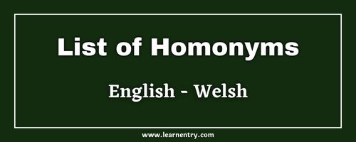 List of Homonyms in Welsh and English
