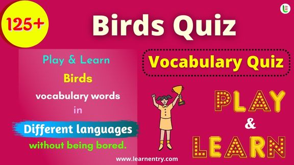 Birds quiz in different Languages