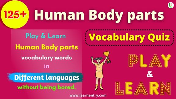 Human Body parts quiz in different Languages