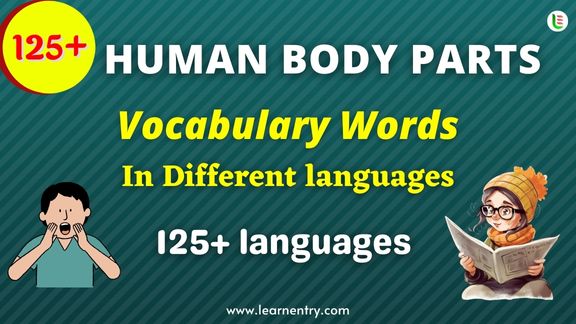 Human Body parts names in different Languages