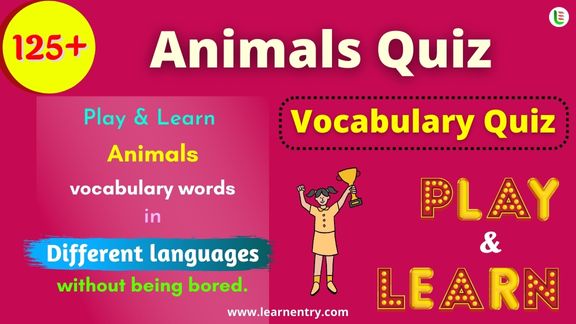 Animals quiz in different Languages