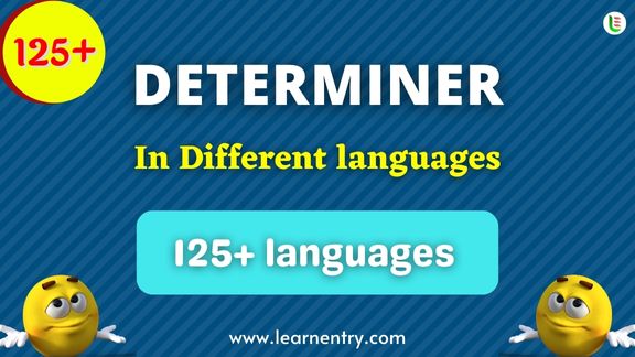 List of Determiner words in different Languages