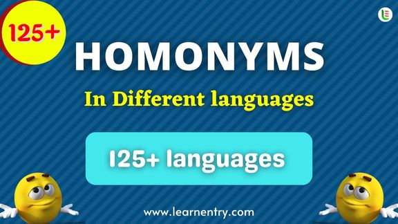 List of Homonyms in different Languages