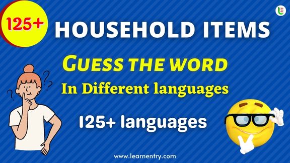 Guess the Household items words in different Languages