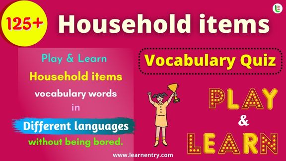 Household items quiz in different Languages