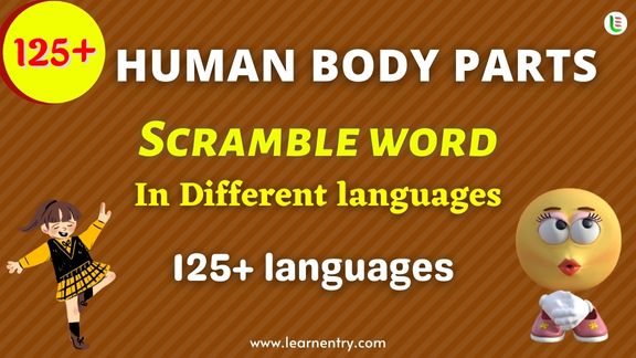 Human Body parts word scramble in different Languages