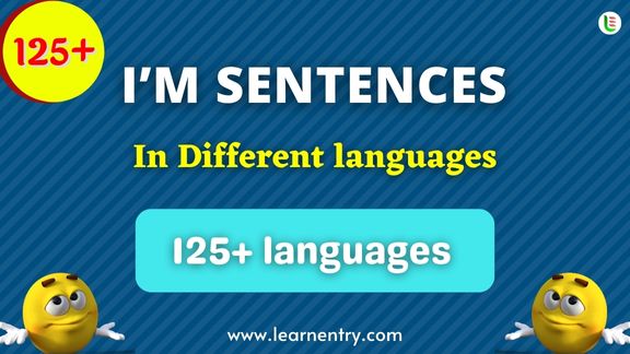 I'm Sentence quiz in different Languages