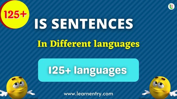 Is Sentence quiz in different Languages