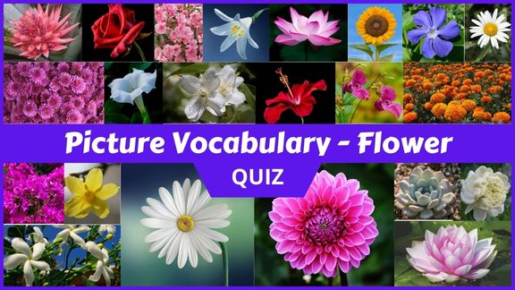 Play Flower Picture vocabulary