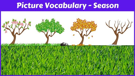 Season names with pictures in English