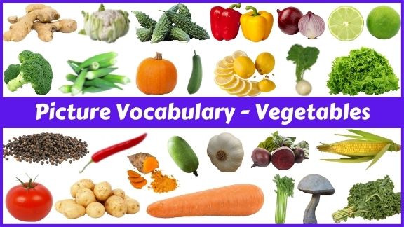 50 Vegetable names with pictures in English