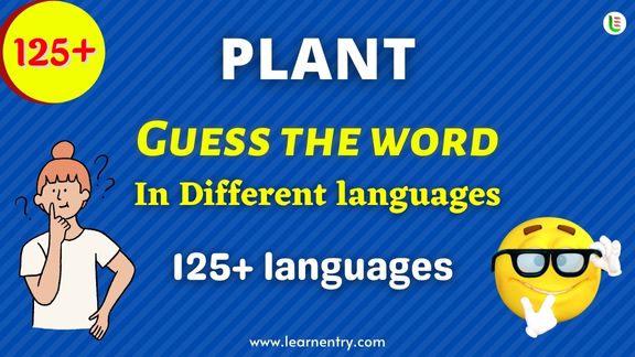 Guess the Plant words in different Languages