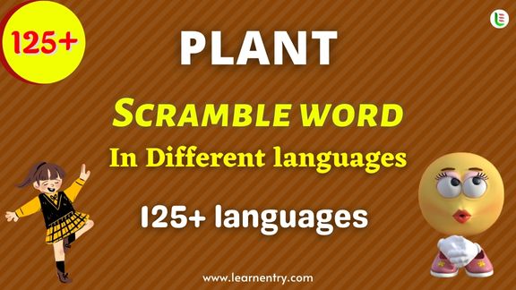 Plant word scramble in different Languages