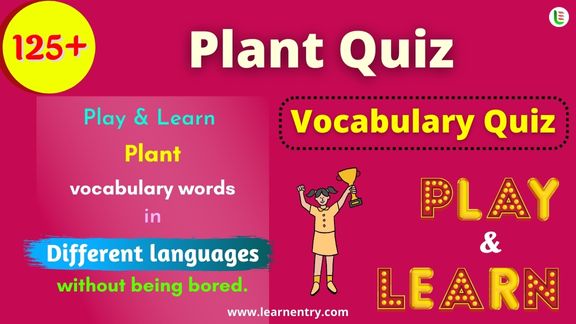 Plant quiz in different Languages