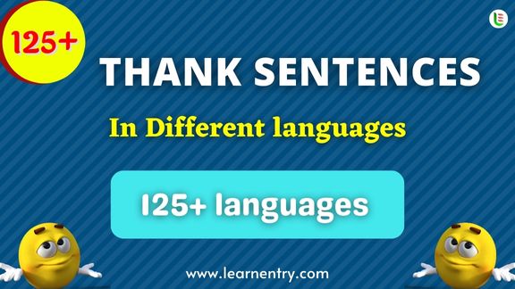 Thank Sentence quiz in different Languages