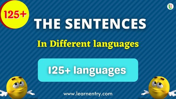 The Sentence quiz in different Languages