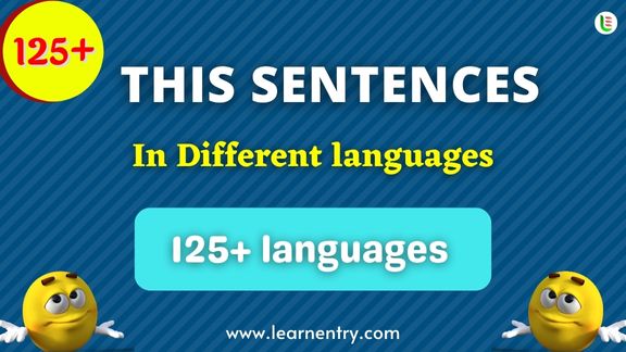 This Sentence quiz in different Languages