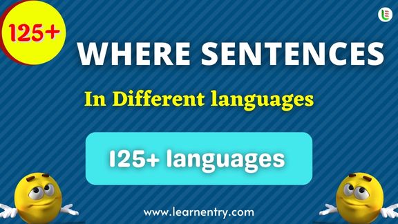 Where Sentence quiz in different Languages