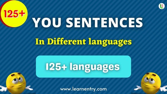 You Sentence quiz in different Languages