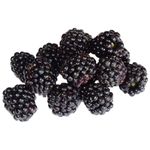 Blackberry