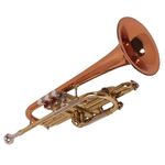 Identify this Music instruments