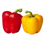 Capsicum