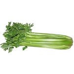 Celery