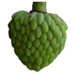 Cherimoya