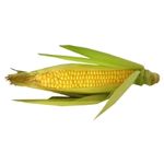 Corn