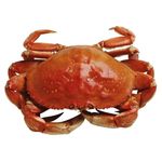 Crab