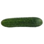 Cucumber