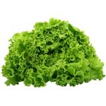 Lettuce