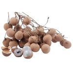 Longan