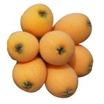 Loquat