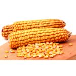 Maize