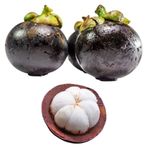 Mangosteen