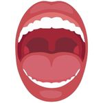 Mouth