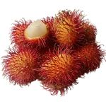 Rambutan