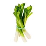 Spring Onion