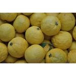 Yuzu