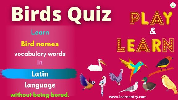 Birds quiz in Latin