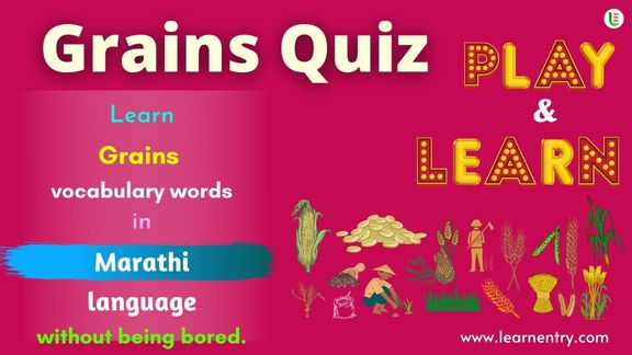Grains quiz in Marathi